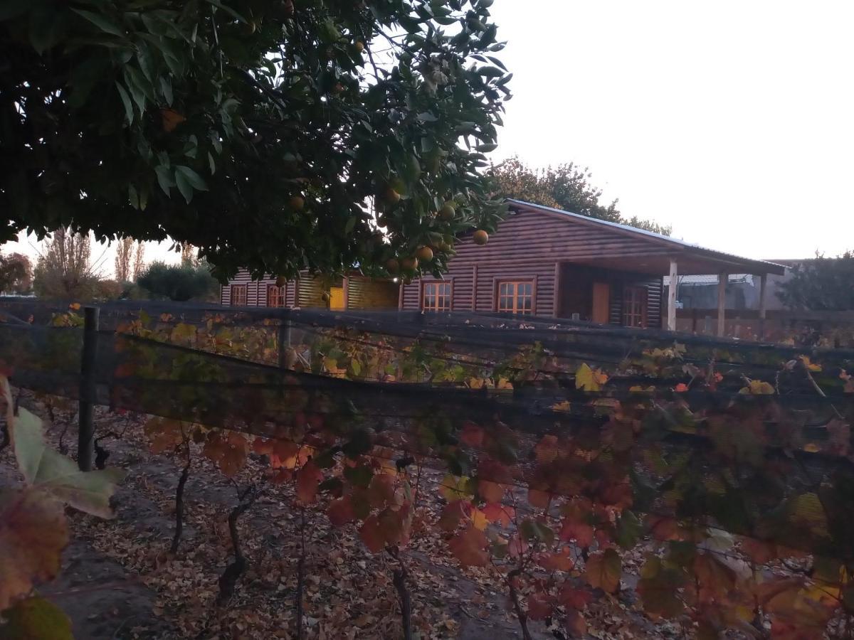 Entre Vinedos Appartement Lujan de Cuyo Buitenkant foto