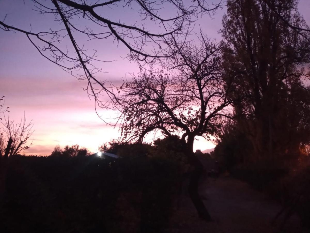 Entre Vinedos Appartement Lujan de Cuyo Buitenkant foto