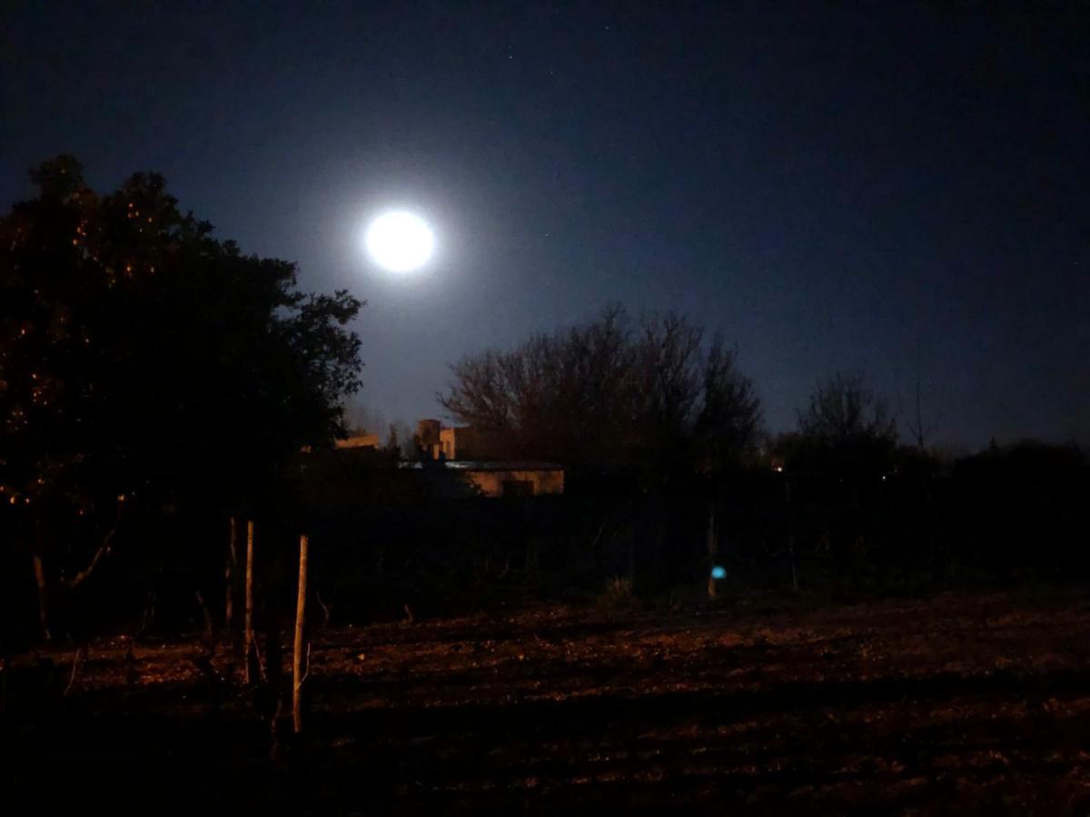 Entre Vinedos Appartement Lujan de Cuyo Buitenkant foto