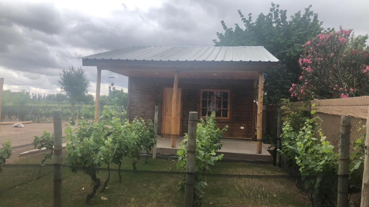 Entre Vinedos Appartement Lujan de Cuyo Buitenkant foto