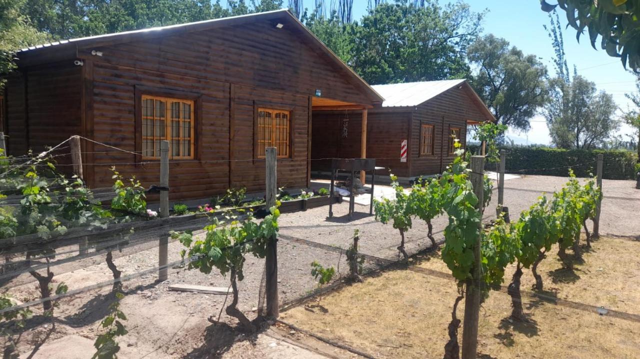 Entre Vinedos Appartement Lujan de Cuyo Buitenkant foto