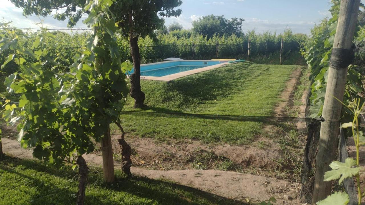 Entre Vinedos Appartement Lujan de Cuyo Buitenkant foto