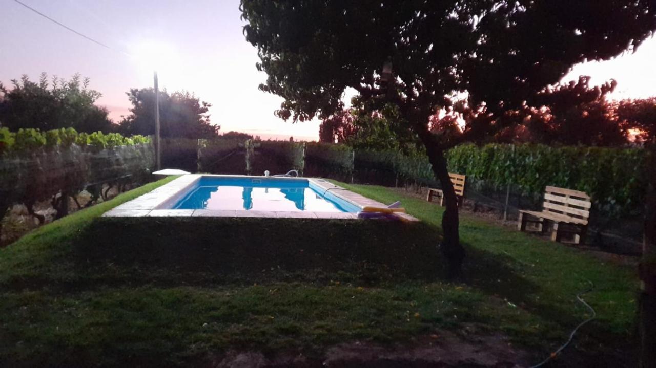 Entre Vinedos Appartement Lujan de Cuyo Buitenkant foto