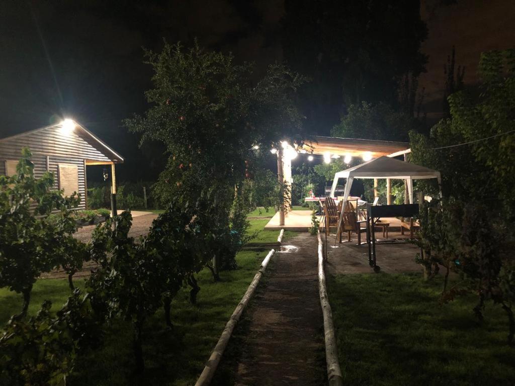 Entre Vinedos Appartement Lujan de Cuyo Buitenkant foto