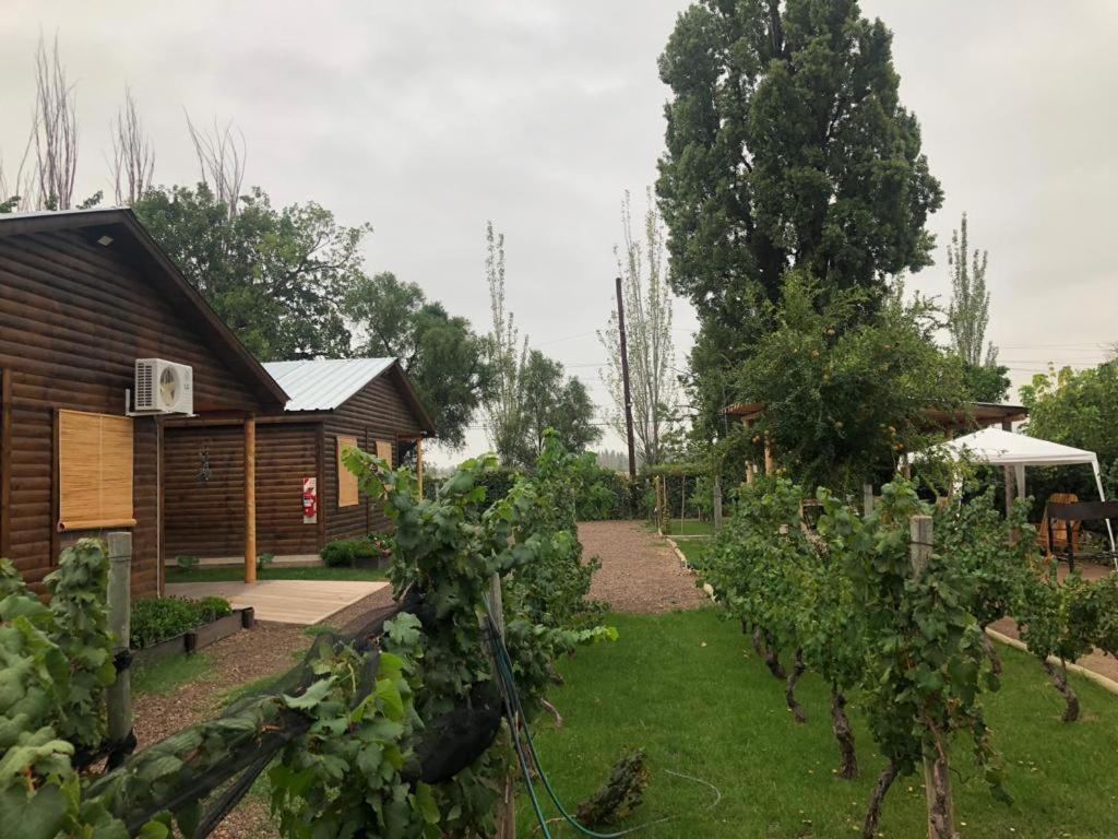 Entre Vinedos Appartement Lujan de Cuyo Buitenkant foto