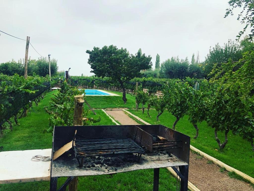 Entre Vinedos Appartement Lujan de Cuyo Buitenkant foto